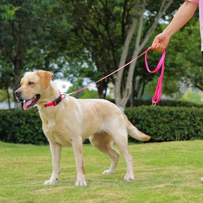Waterproof Dog Leash, 5/6 FT Durable Odor-Proof Dog Leashes with Strong Metal Hooks Fits Small Medium or Large Dogs (Pink, 6FT - 1 inch Width) - Image 6