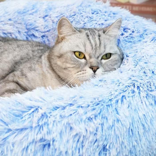 Cat Beds for Indoor Cats - Cat Bed Washable 20/24 inches, Dog Beds for Small Medium Dogs, Anti Anxiety Round Fluffy Plush Faux Fur Cat Bed, Thick Bottom (Cornflower Blue, Medium) - Image 2