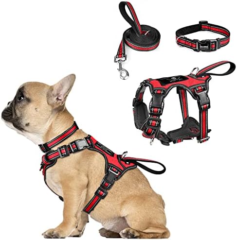 WINSEE Pet Harness Collar and Leash Set, All-in-one Reflective Dog Harness No Pull with Adjustable Buckles for Puppies, Small, Medium, Large, and Extra-Large Dogs (Small, Red) by WINSEE
