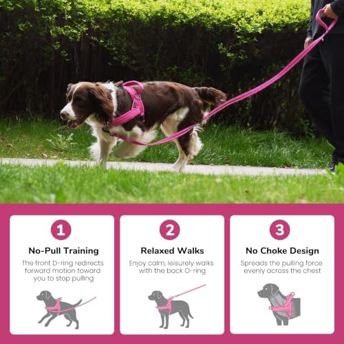 Didog No Pull Dog Harness for Small Dogs, Soft Flannel Padded, Hot Pink, XS - Image 4