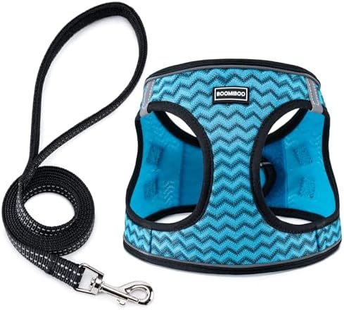 Dog Harness with Leash Set,Step-in Adjustable Puppy Pet Vest,Blue Stripe XL by BOOMIBOO