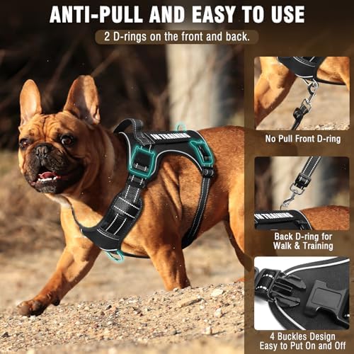 Tactical Dog Harness and Leash Set Medium Sized Dog+10 Dog Patches - Image 2