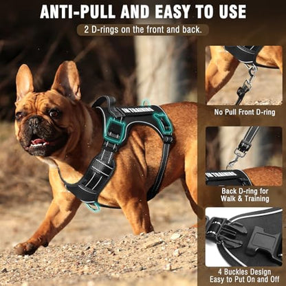 Tactical Dog Harness and Leash Set Medium Sized Dog+10 Dog Patches - Image 2