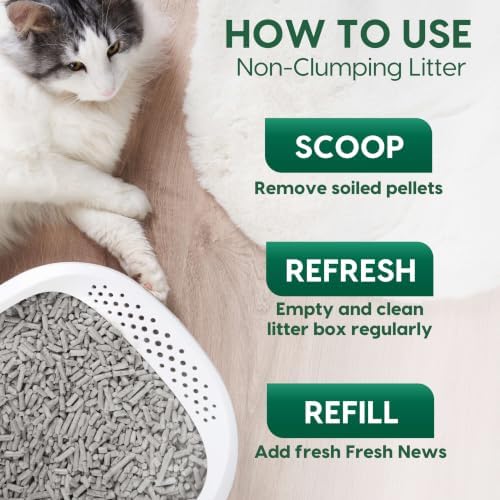 Fresh News MAX Unscented Original Cat Litter, Non-Clumping, 20 lb - Image 5