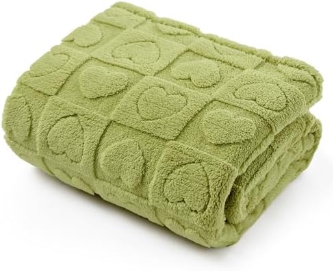 Bedsure Dog Blanket for Small Dogs Puppy and Cats, Soft Fleece, 25x35 Green by BEDSURE