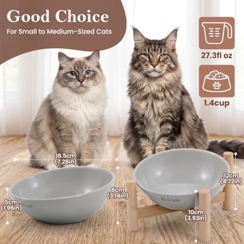 15° Slanted Rim Ceramic Cat Bowl, Anti-Spill for Small Cats - Image 2
