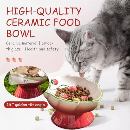 Ceramic Strawberry Raised Cat Bowl – Elevated Cat Food Bowl for Anti Vomit, Spine Protection & Whisker Friendly, Cute Tilted Bowl for Indoor Cats, Flat-Faced Cats (Red) - Image 4