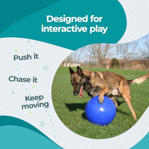 Jolly Pets Push-n-Play Ball Dog Toy, 6 Inches/Medium, Blue (306) - Image 5