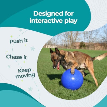 Jolly Pets Push-n-Play Ball Dog Toy, 6 Inches/Medium, Blue (306) - Image 5