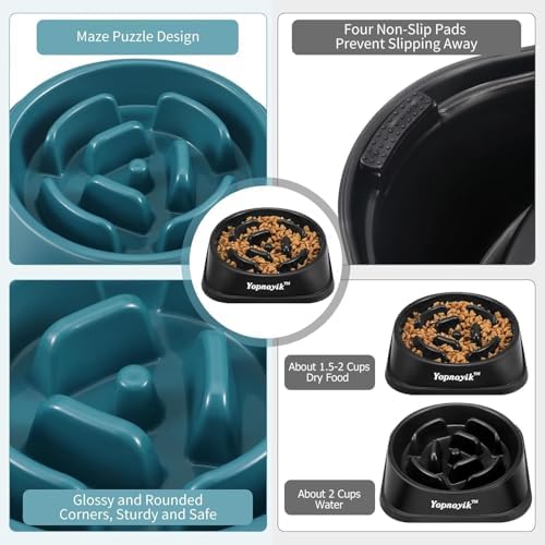 2 Pack Slow Feeder Dog Bowls for Medium Dogs & Cats - Image 3