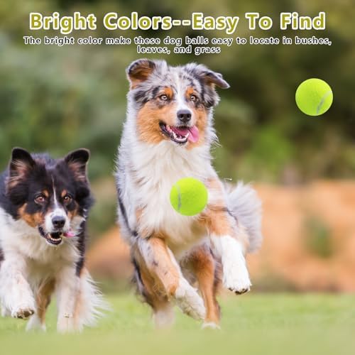 Magicorange Dog Tennis Balls, 6 Pack 2.5 inch Squeaky Tennis Balls - Image 6