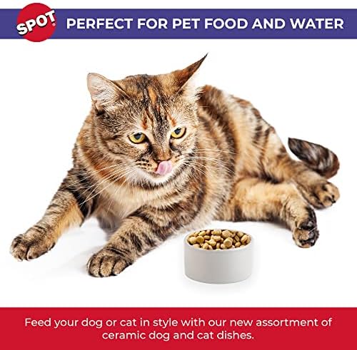 SPOT Ceramic Stoneware- Pet Bowl for Cats, Kittens and Mini Dogs, Classic Heavy Duty Non-Slip Ceramic Bowl for Food and Water -2.75in Diameter - Image 3