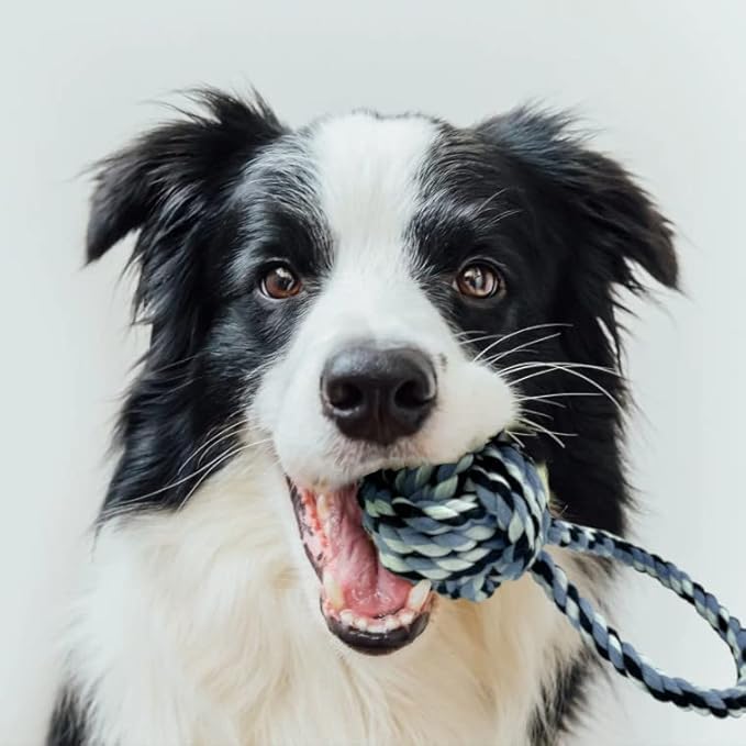 Cutie's PetBox Weaved Rope Ball Toy for Toss, Fetch, Chew and Tug-O-War, 2.8" Diameter Ball for Small and Medium Dogs