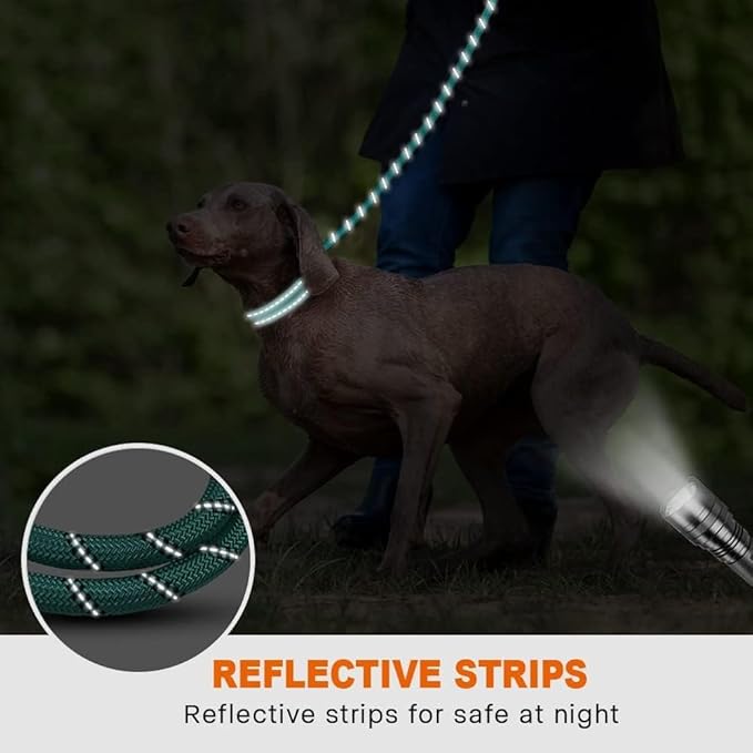 Taglory Rope Dog Leash 4 FT with Comfortable Padded Handle, Highly Reflective Threads Leash and Anti-Tangle Clip for Walking Medium Large Dogs, 1/2 inch, Turquoise