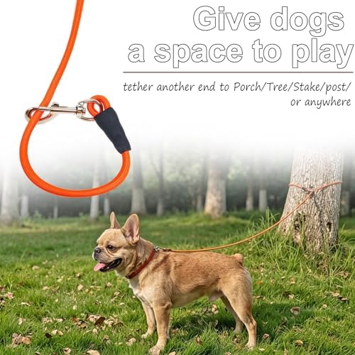 20FT Dog Tie Out Leash Long Tether 15-30-50-65ft Rope Check Cord - Image 2