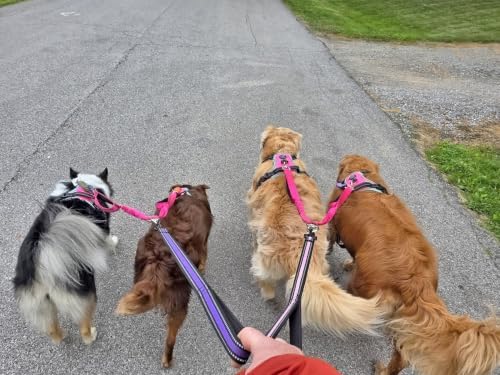 Dual Dog Leash Coupler Double Control Padded Handle for 2 Large Dogs - Image 2