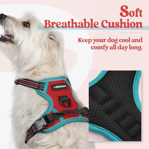 rabbitgoo Dog Harness, No Pull for Small Dogs with 2 Leash Clips, Pet Vest - Image 2