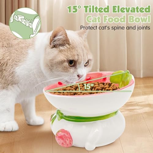kathson Ceramic Raised Cat Bowl, 15° Tilted Elevated Cat Food Bowl, Raised Cat Food Bowls Anti Vomiting, Small Cat Feeding Bowlswith Stand for Protecting Spine, Strawberry Shaped Cute Kitten Bowl - Image 4