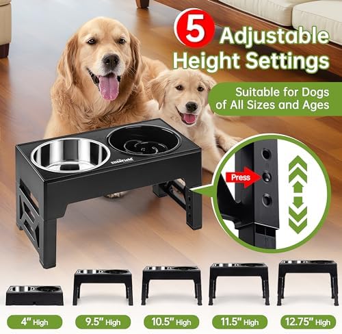 EliteField Elevated Dog Bowls, 2 Stainless Steel Bowls (2-Year Warranty) - Image 2