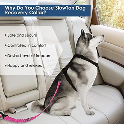 SlowTon Dog Car Seat Belt, 3 in 1 Latch Bar Attachment Dog Safety Seatbelt - Image 5