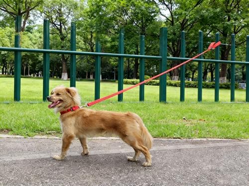 6FT Tie Out Dog Leash Dog Tie down 1"Wide Reflective Nylon Tether - Image 5