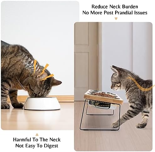 Elevated Cat Food Bowl Set for Indoor Cats, 3 Raised Water Bowl for Kitten - Image 2