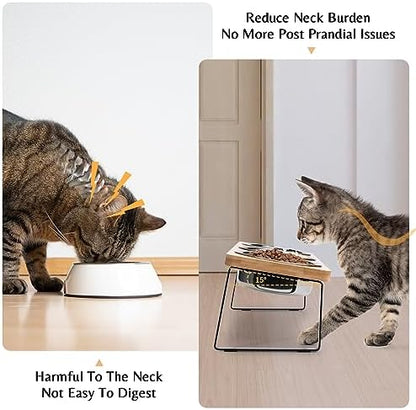 Elevated Cat Food Bowl Set for Indoor Cats, 3 Raised Water Bowl for Kitten - Image 2