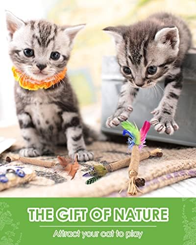 TINDTOP Silvervine Sticks for Cats with Natural Feather, Catnip Chew Toys - Image 6