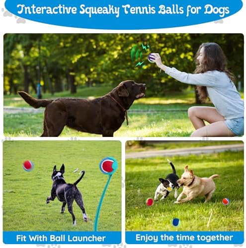 Squeaky Tennis Balls for Dogs - 12 Pack 2.5'' Durable Natural Rubber, Non-Toxic Dog Toy Balls with Mesh Bag for Outdoor Play & Training - Image 4