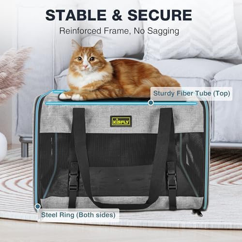 Pet Carrier 20"x13"x13", Foldable Soft Travel Bag for Cats & Dogs - Image 4