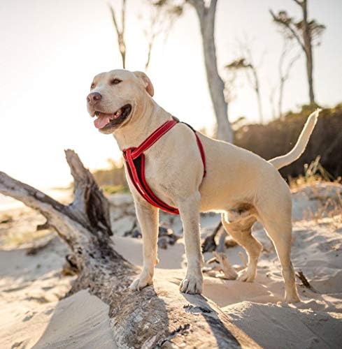 EzyDog Chest Plate No Pull Dog Harness, Escape Proof - Small, Corduroy - Image 4