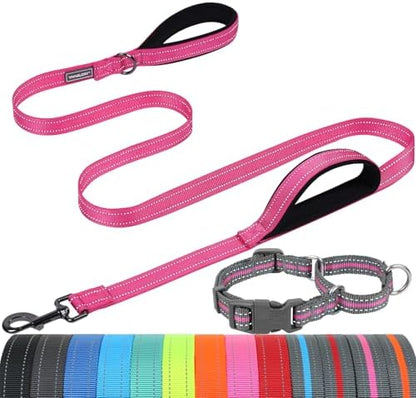 VIVAGLORY Double Handle Dog Leash Twingrip, 5ft x 1in, S, Pink Grey by VIVAGLORY