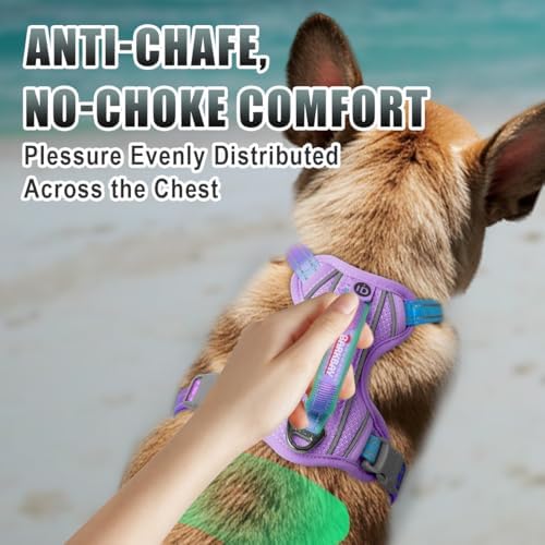BARKBAY Dog Harness for Small Sized Dog No Pull Dog Vest ID Tag Pocket - Image 4