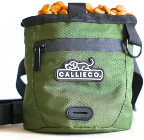 Callieco Mini Dog Treat Pouch with Magnetic & Zipper Closure | Small Waist Belt Training Behavior Aid Bag for Dog Walking with Poop Bag Dispenser (Green) by Callieco