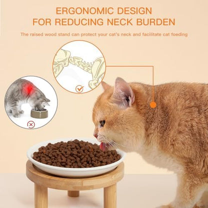 Shallow Elevated Cat Bowls, 2, White (Fish Bone), Bamboo Stand - Image 3