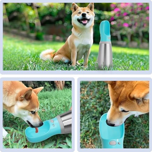 Portable Dog Water Bottle, 24 OZ Stainless Steel Pet Water Dispenser - Image 7