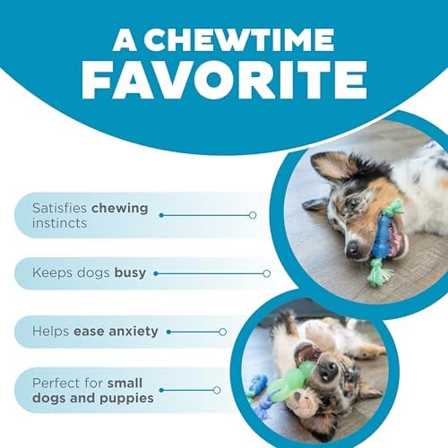 Mini Dentachew Dental Dog Chew Toys, 5-8", 3-Pack - Image 6