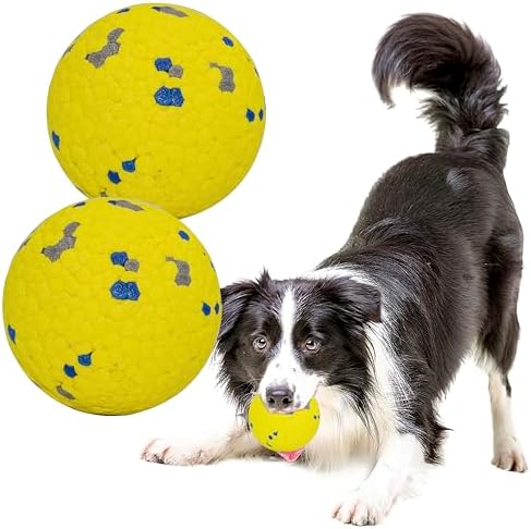 Dog Balls Toys for Aggressive Chewers(2 Pack) by LIEVUIKEN
