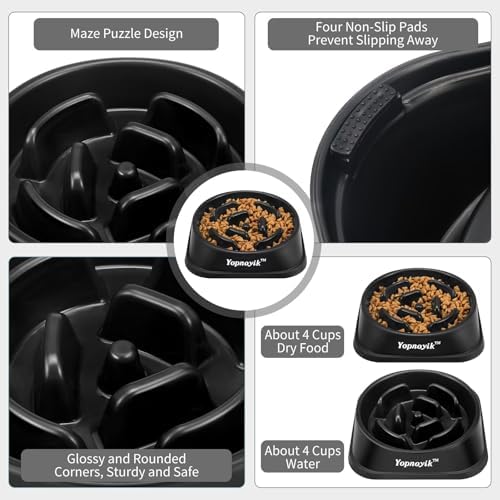 Slow Feeder Dog Bowls for Large Dogs - Image 3