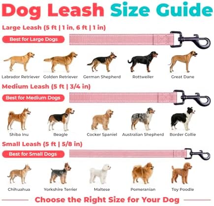 Best Pet Supplies Voyager Nylon Dog Leash - 6ft Pink, Large - Image 6