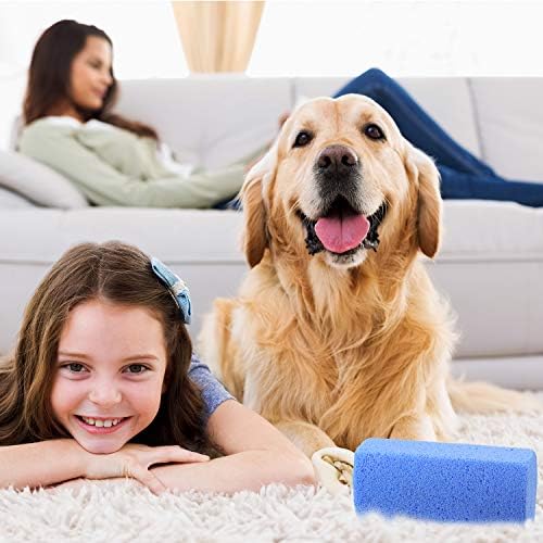 Mudder 6 Pcs Pet Hair Remover for Dog Cat Pet Hair Stone Remover Pumice - Image 2