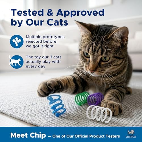 Cat Spring Toys, Family Made in the USA, Set of 12 - Image 3