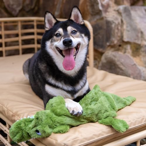 Best Pet Supplies 2-in-1 Stuffless Squeaky Dog Toy - Alligator, Large - Image 6