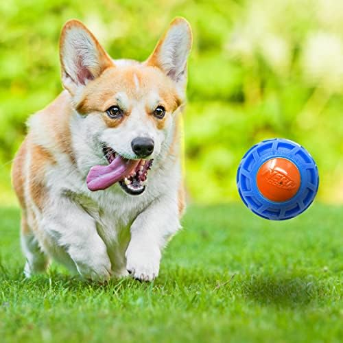 3in TPR EXO Squeak Ball - Blue/Orange - Image 4
