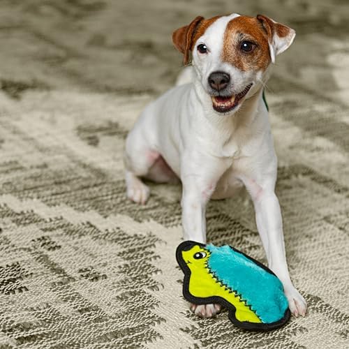 Outward Hound Durablez Minis Tough Chew Plush Squeaky Dog Toy, Hedgehog, 7" - Image 5