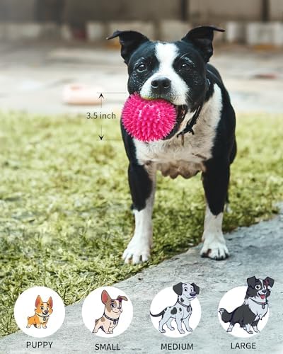Pweituoet 3.5" Spike Dog Balls With Squeaky, Thicker and Durable, 2 Pack Chew Toys for Teeth Cleaning and Training, Ball Toys for Aggressive Chewers, Puppy Small Medium Large Dogs - Image 5