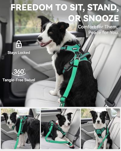 Joytale 3-in-1 Bungee Dog Seat Belt for Car, Medium and Large Dogs, Teal - Image 5