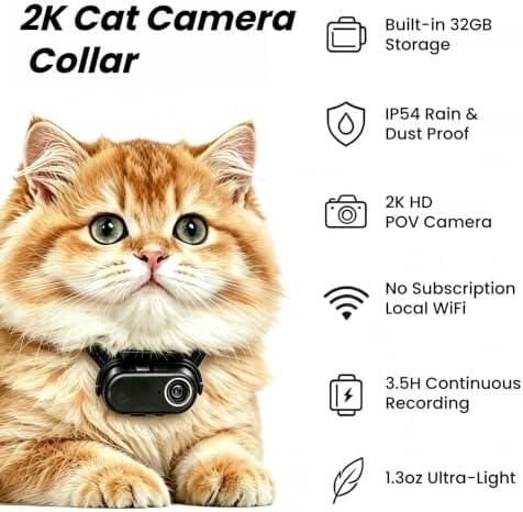 2K POV Cat Camera Collar with 32GB SD Card, WiFi Hotspot for App - Image 2