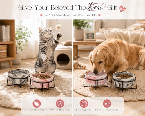 Dazzling Ceramic Elevated Cat Bowls, Gift for Cat Owner, Birthday (Medium,Grey) - Image 2