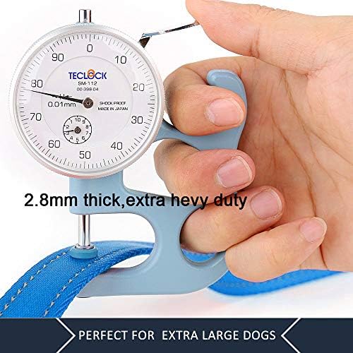 Plutus Pet Double Handle Dog Leash, 6 FT Long, for Medium Large Dogs - Image 5